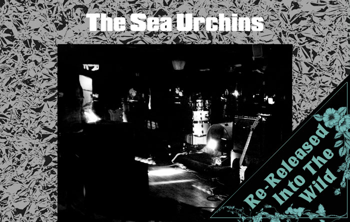 The Sea Urchins – Stardust – Raven Sings The Blues